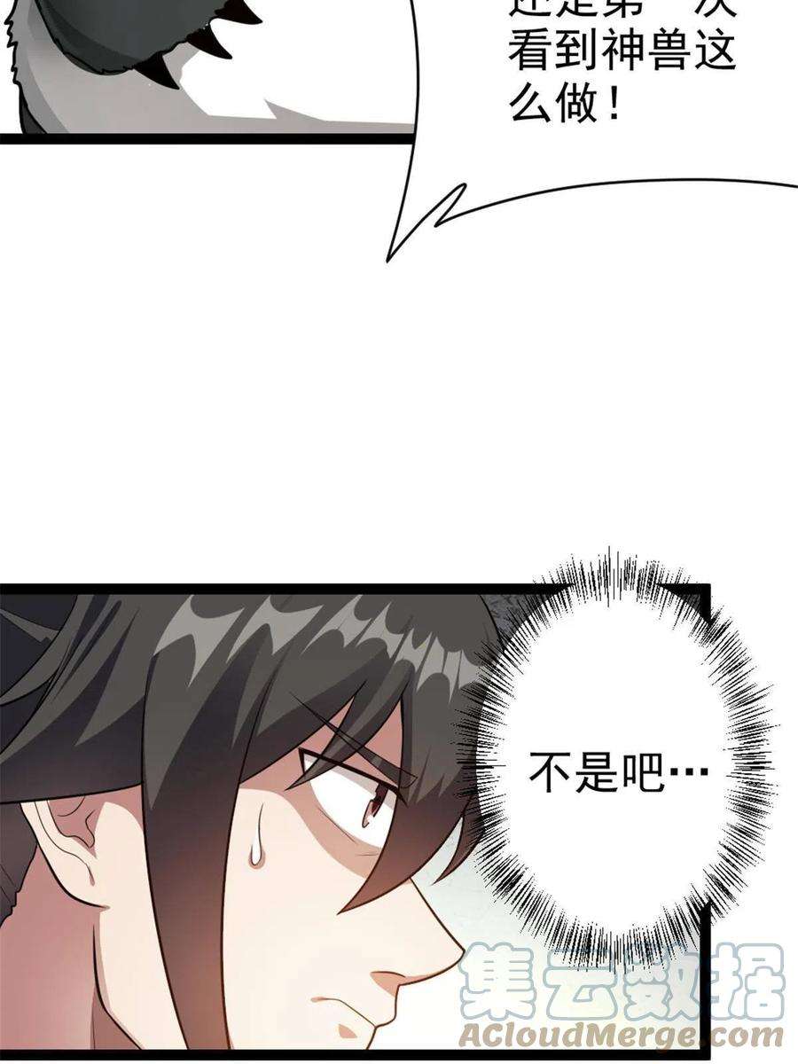 我渡了999次天劫54 神兽出世