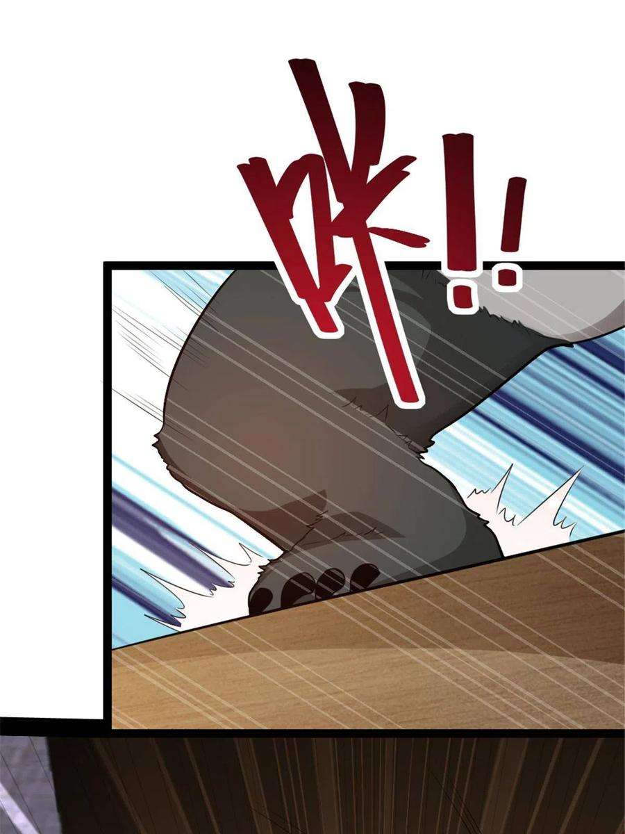 我渡了999次天劫54 神兽出世