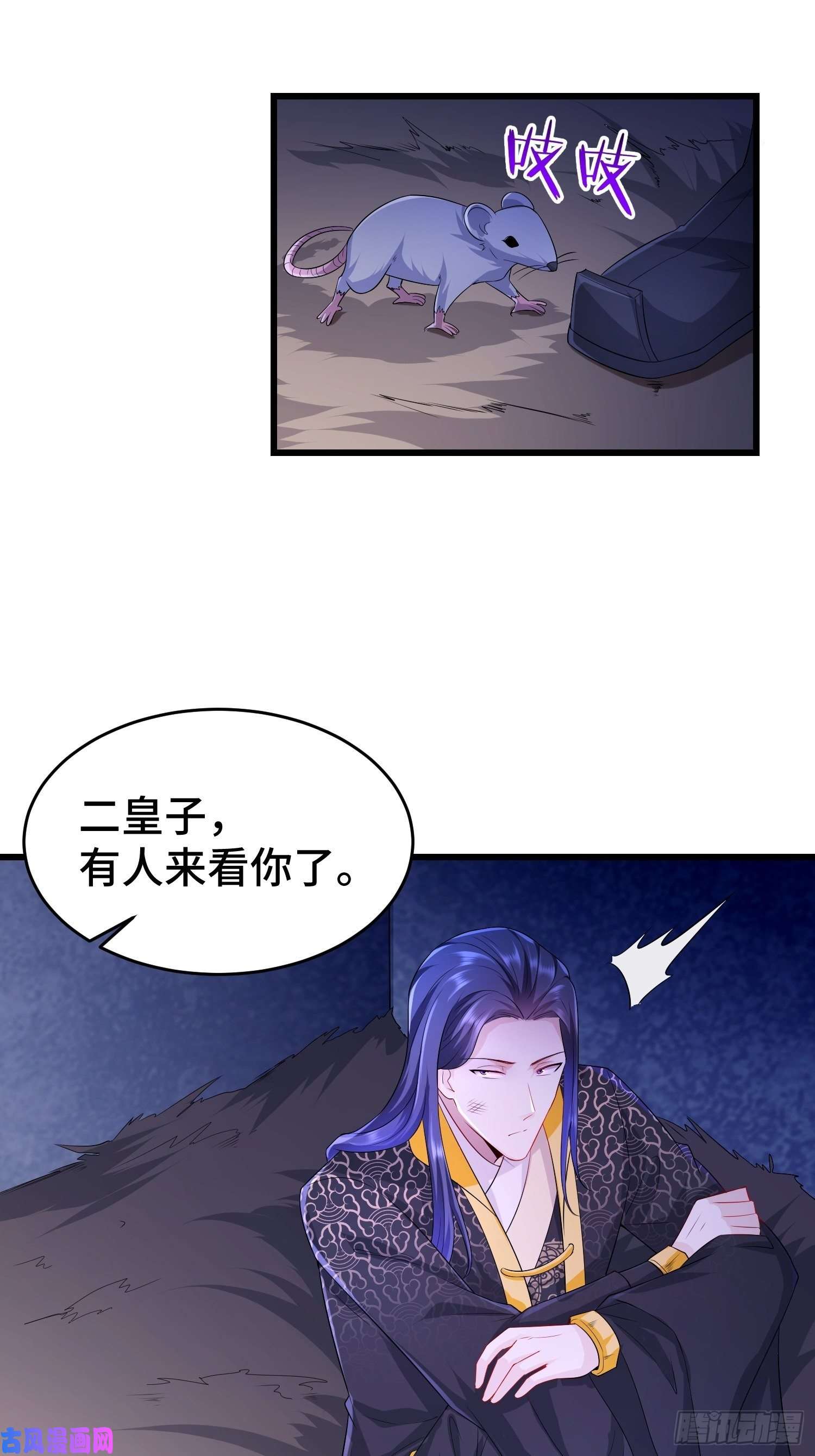 被迫成为反派赘婿叶琼的野心