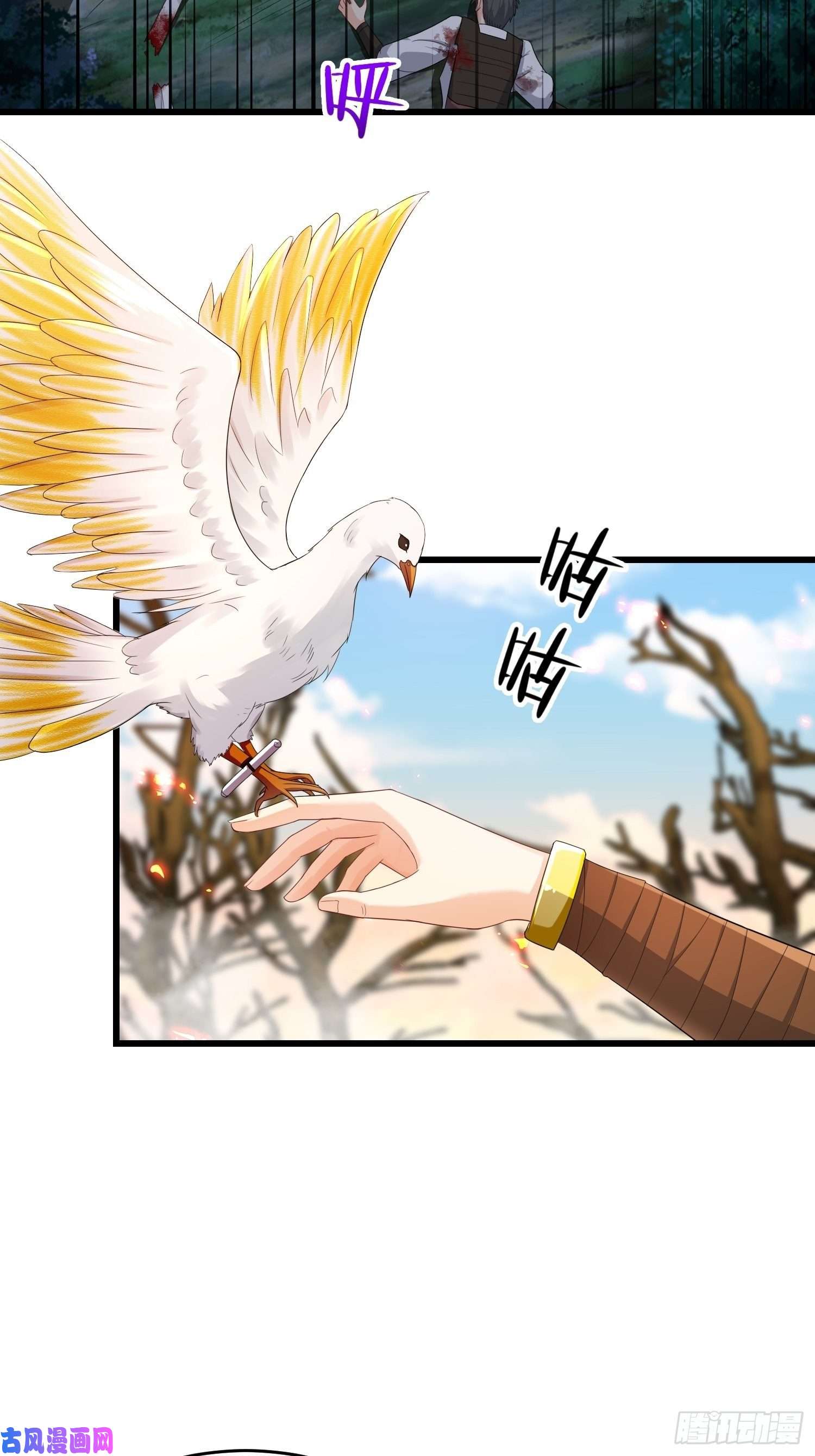 被迫成为反派赘婿瘟疫之村