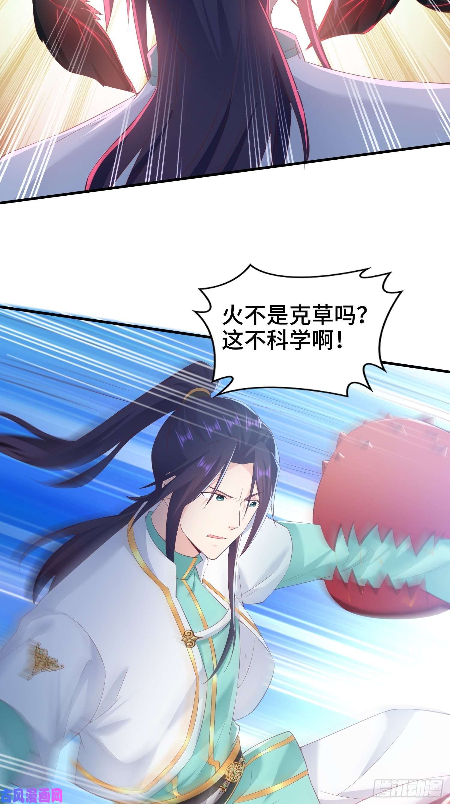 被迫成为反派赘婿花海