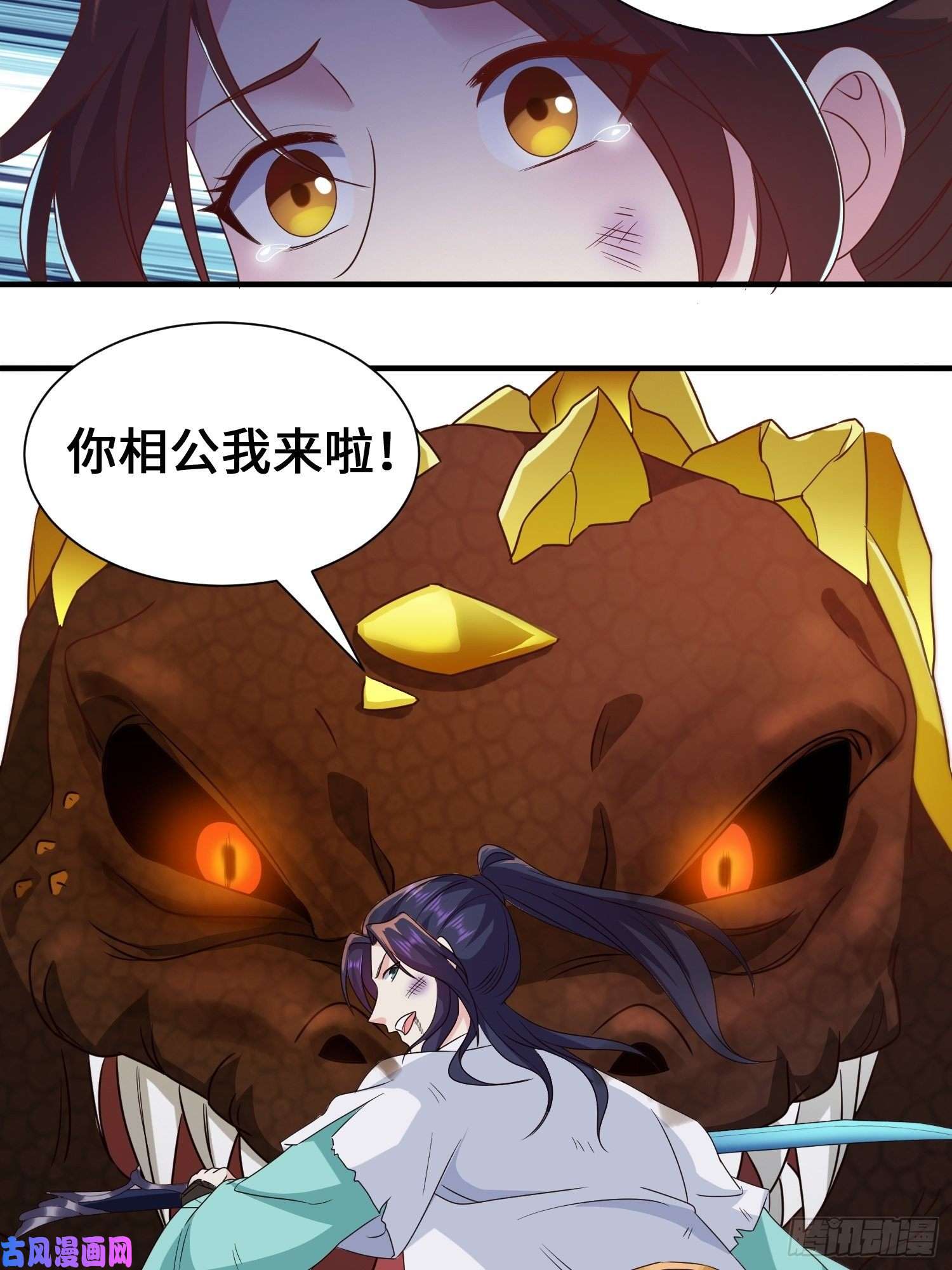 被迫成为反派赘婿花海