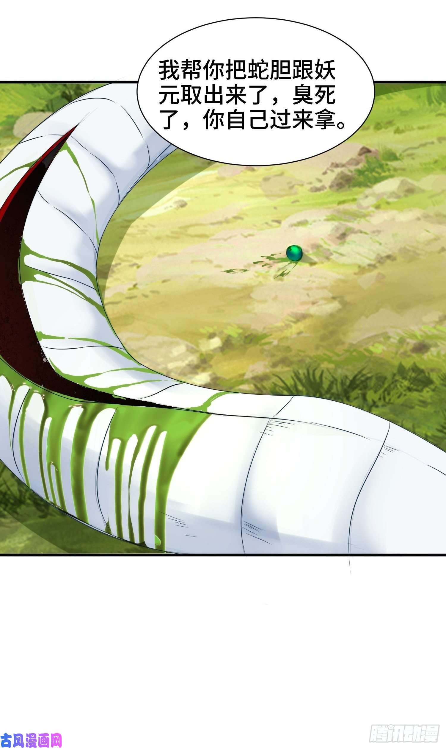 被迫成为反派赘婿棺中人