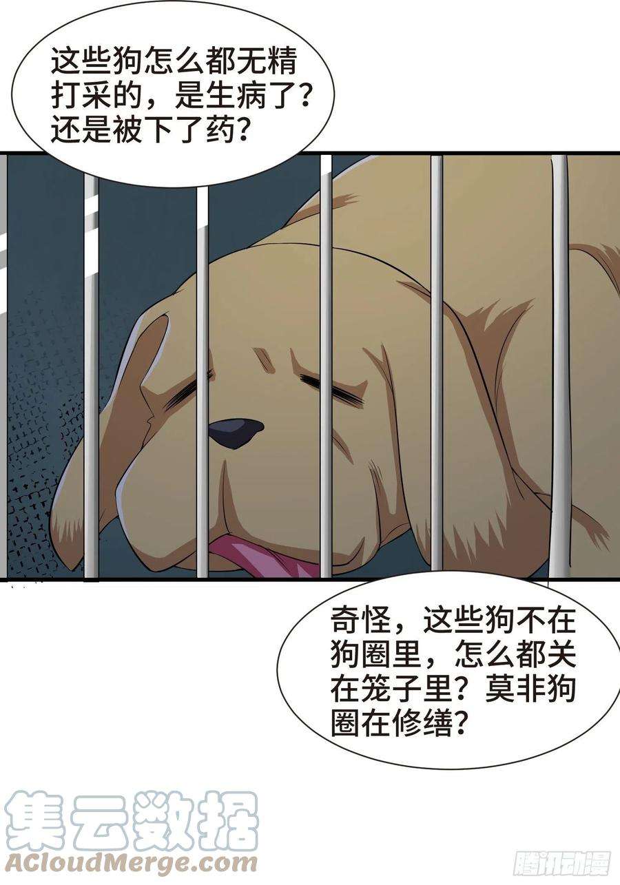 被迫成为反派赘婿结实的胸肌