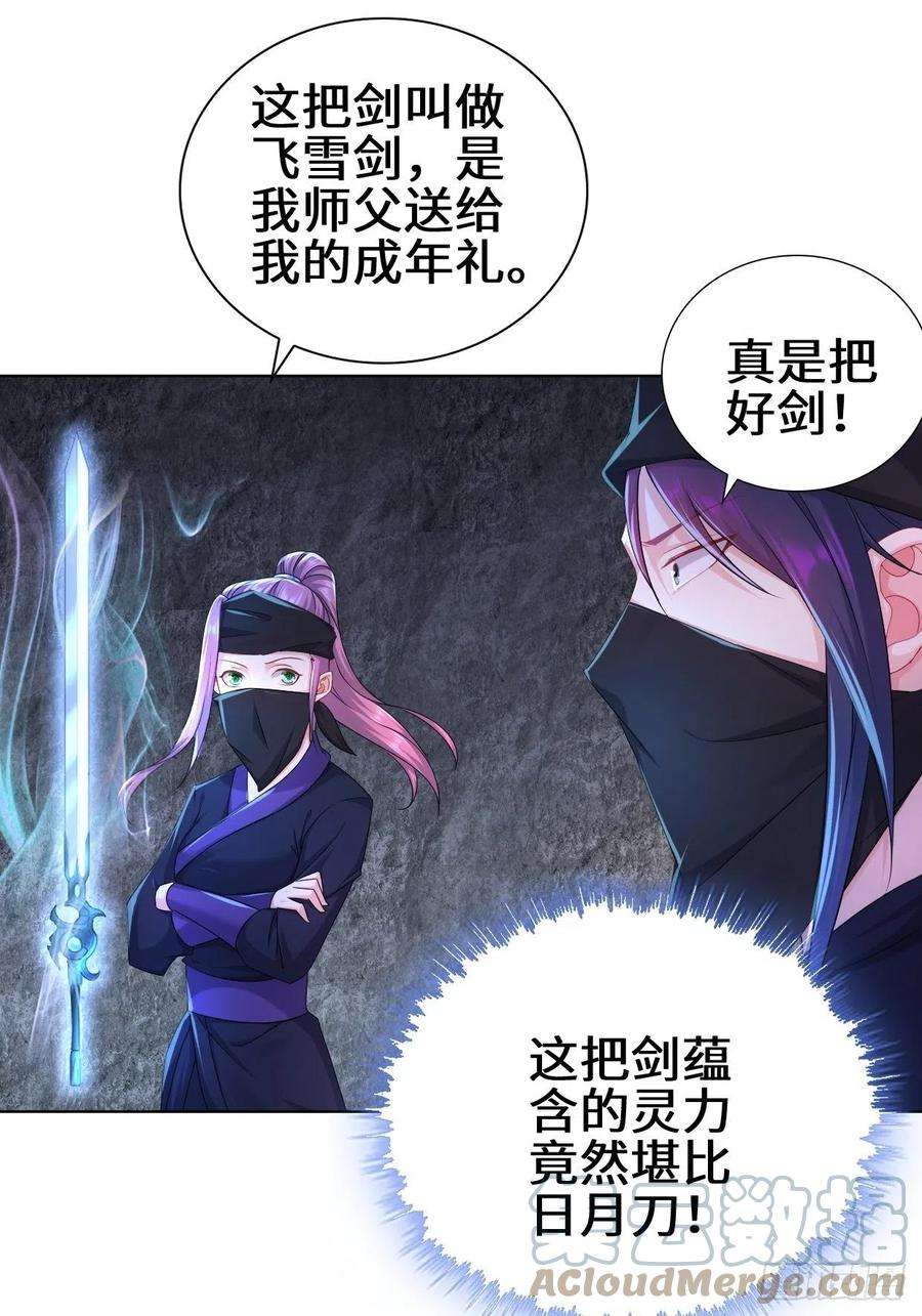 被迫成为反派赘婿飞雪剑