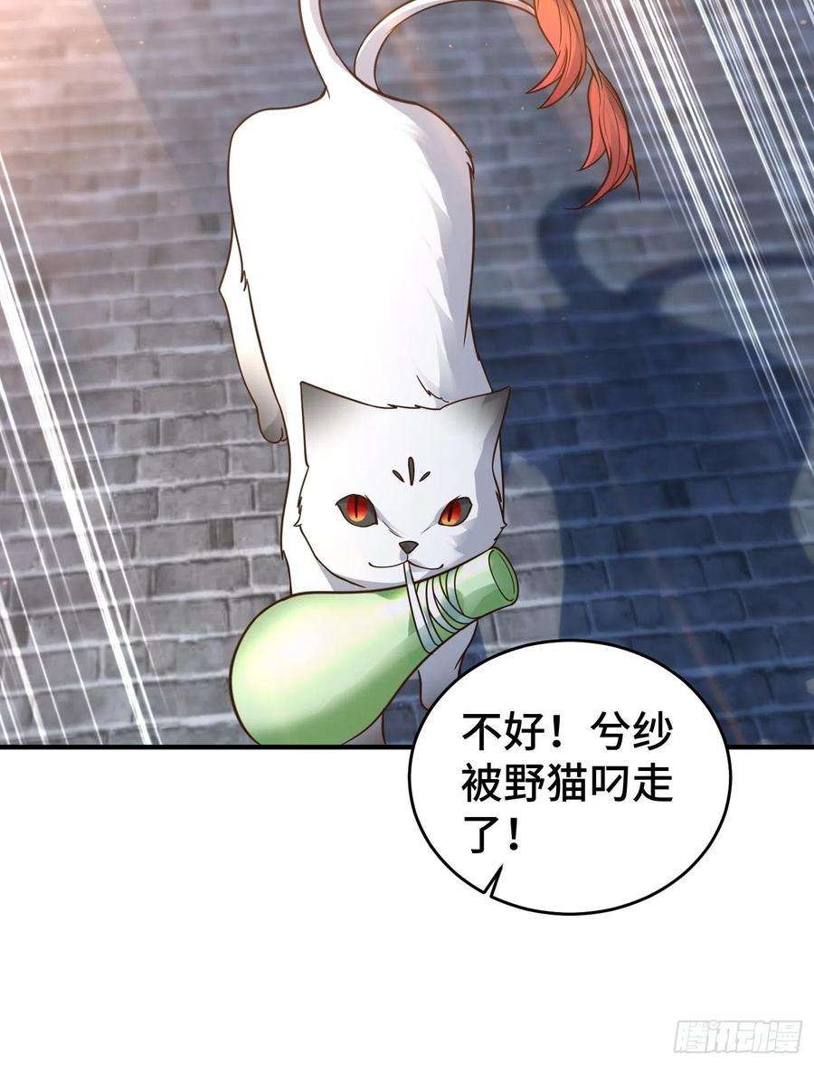 被迫成为反派赘婿妖猫夺丹