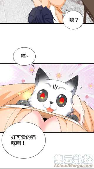 被迫成为反派赘婿刺杀来袭