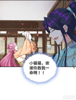 被迫成为反派赘婿刺杀来袭