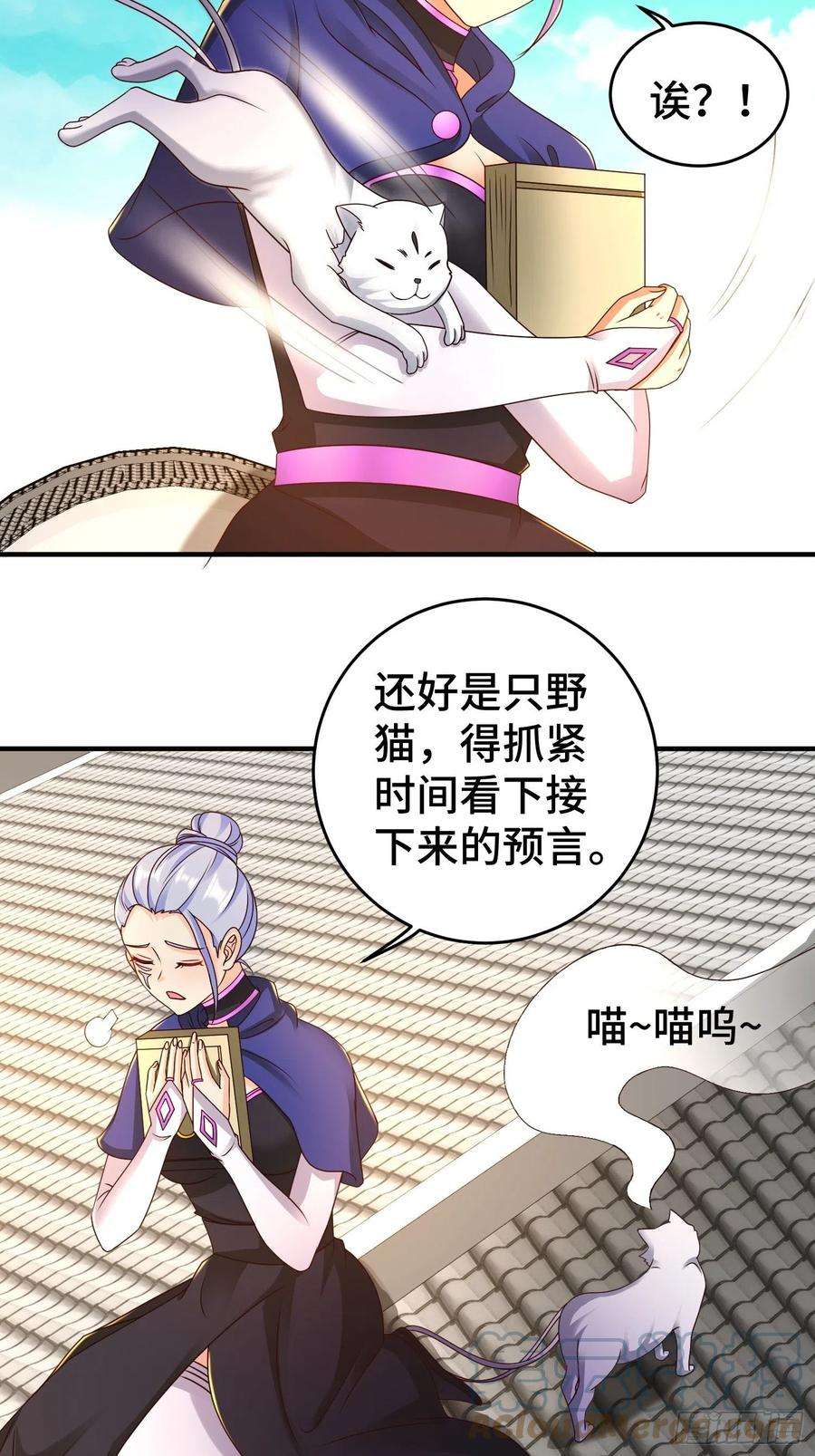 被迫成为反派赘婿讽刺的预言