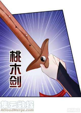 被迫成为反派赘婿驱鬼