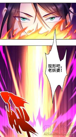 被迫成为反派赘婿幻似无形