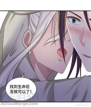被迫成为反派赘婿一线生机