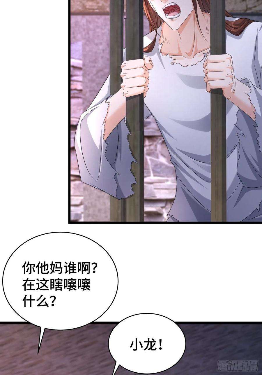 被迫成为反派赘婿命运多舛