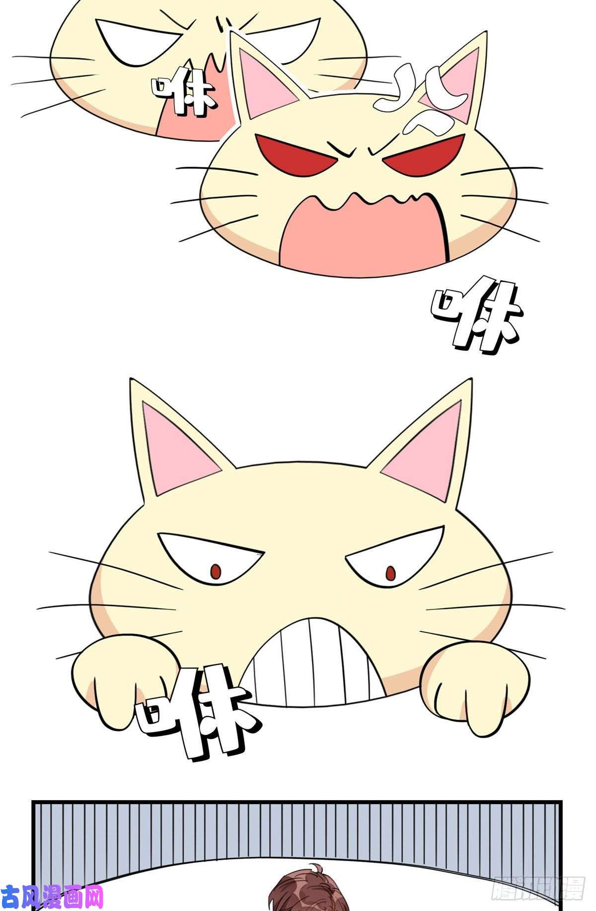 顾总，你老婆太能打了19 她和这个男人有什么关系