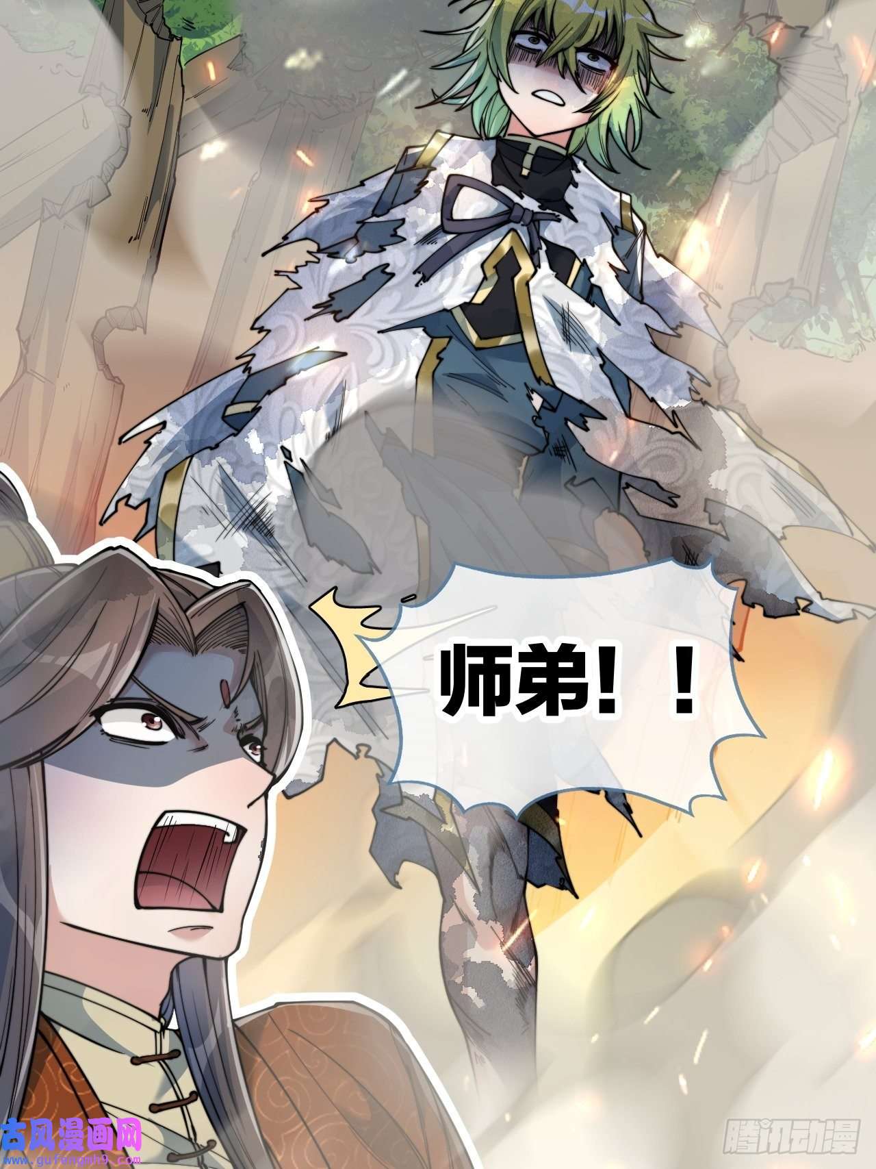 我真的不是气运之子第六十二话：师兄将，载入史册