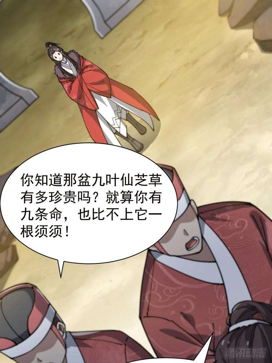 我真的不是气运之子二话：难道是我的脸太黑了？