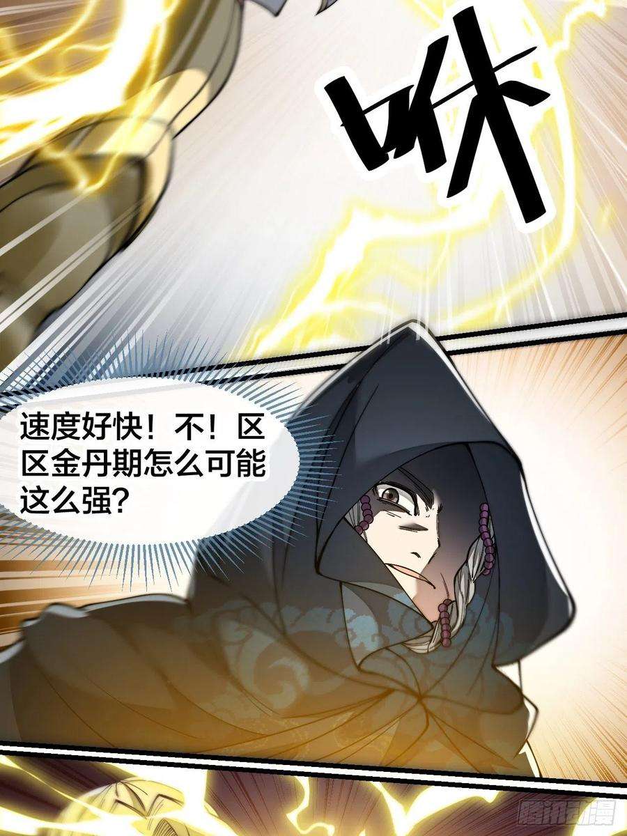 我真的不是气运之子四十三话：神霄圣地，碧莲长老
