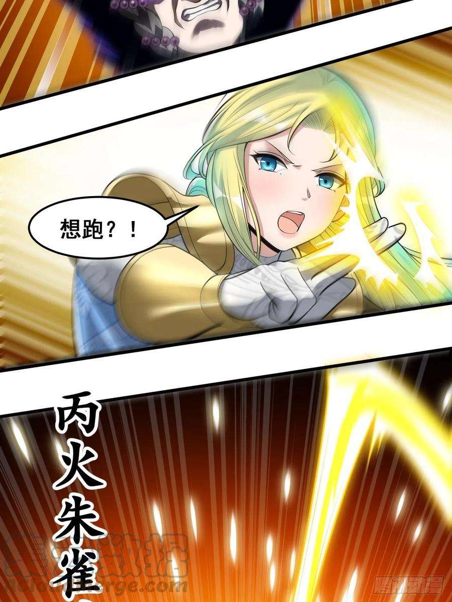 我真的不是气运之子四十三话：神霄圣地，碧莲长老