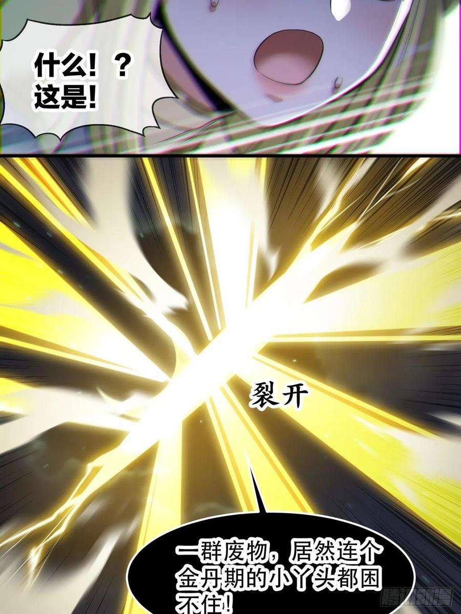 我真的不是气运之子四十三话：神霄圣地，碧莲长老