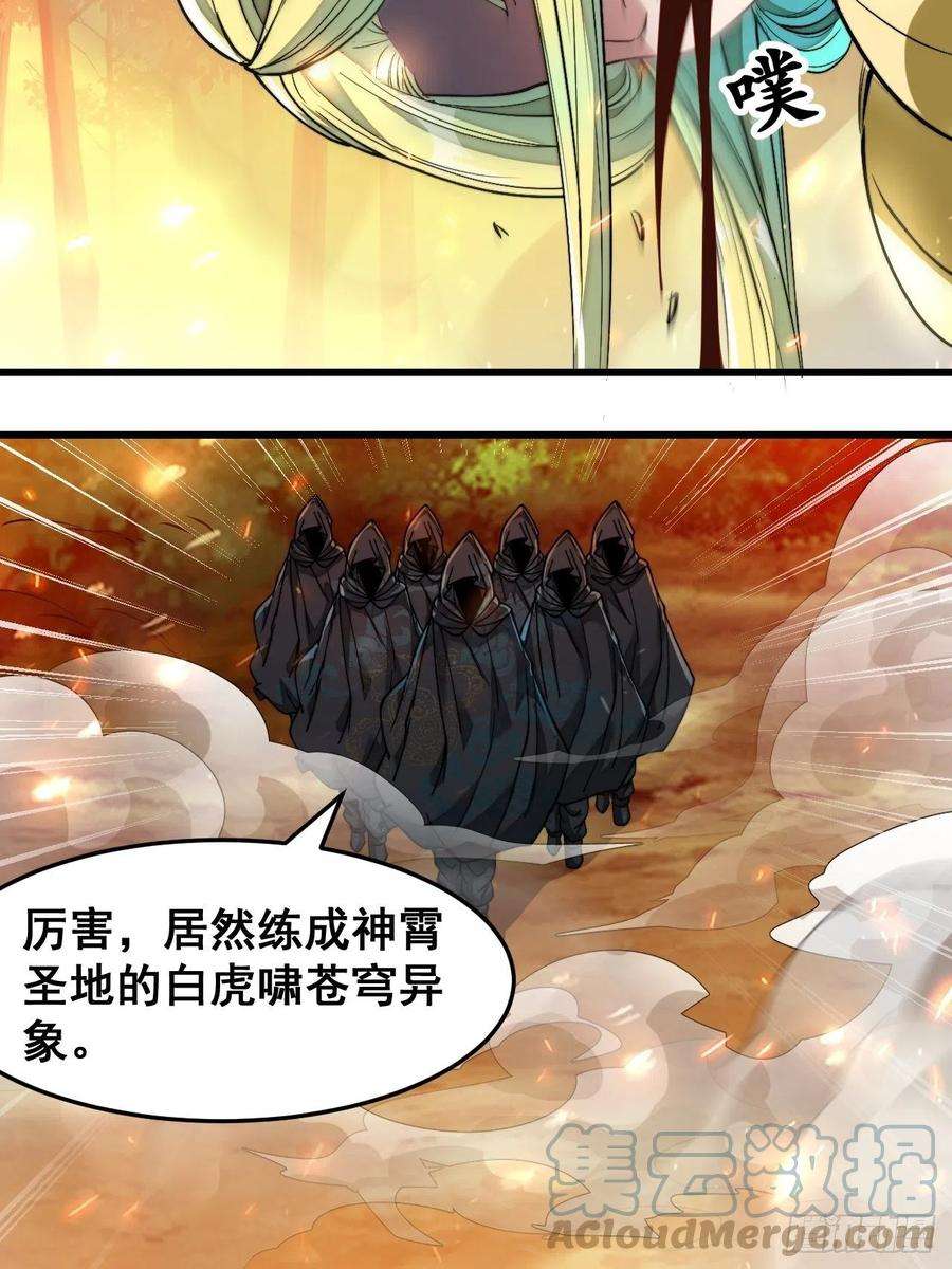 我真的不是气运之子四十三话：神霄圣地，碧莲长老