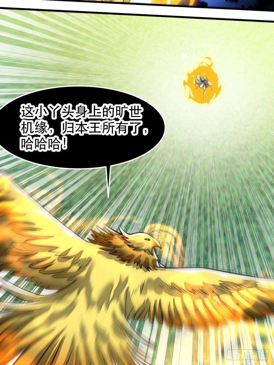 我真的不是气运之子四十三话：神霄圣地，碧莲长老