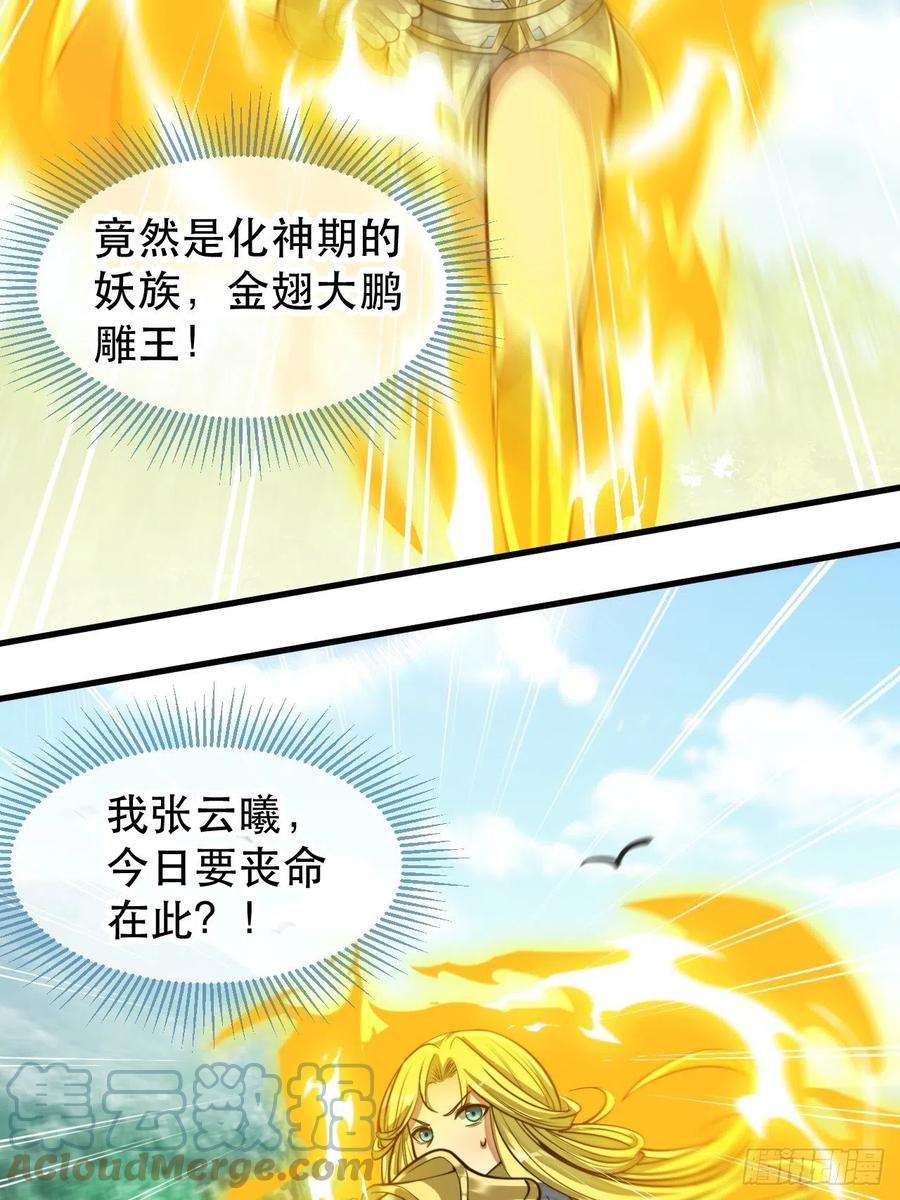 我真的不是气运之子四十三话：神霄圣地，碧莲长老