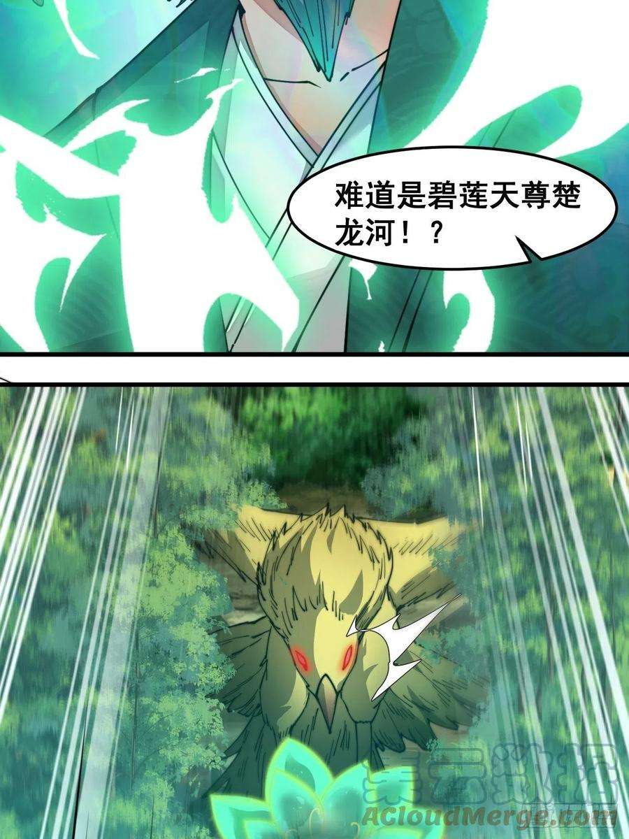 我真的不是气运之子四十三话：神霄圣地，碧莲长老