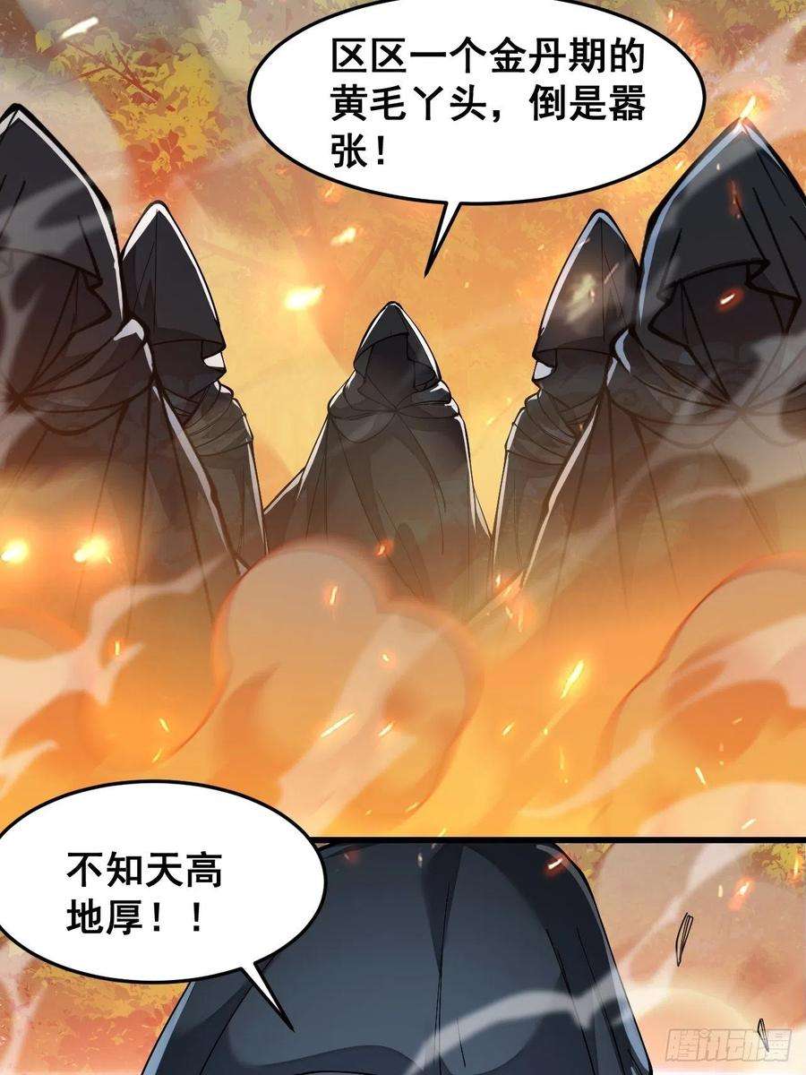我真的不是气运之子四十三话：神霄圣地，碧莲长老