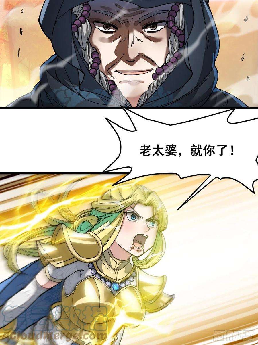 我真的不是气运之子四十三话：神霄圣地，碧莲长老