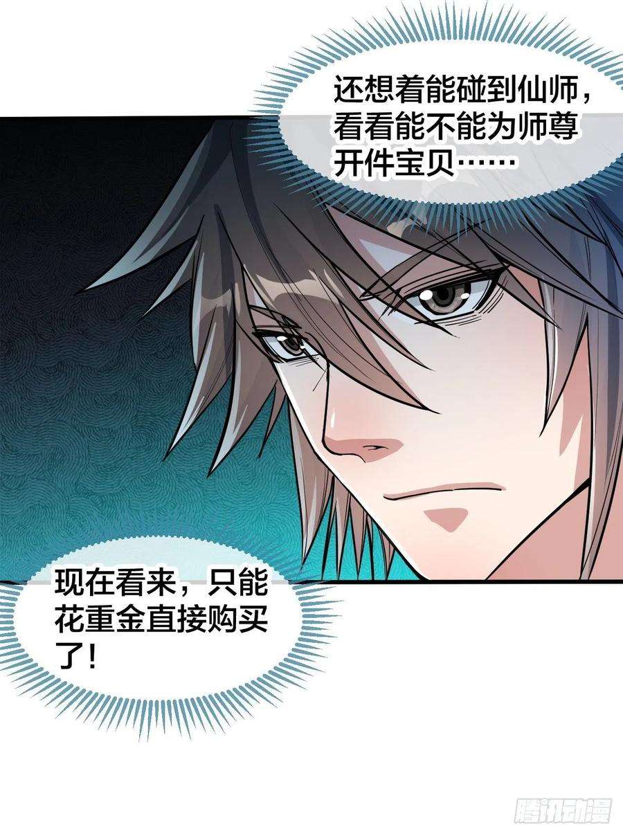 我真的不是气运之子四十六话：恨不能与仙师相见