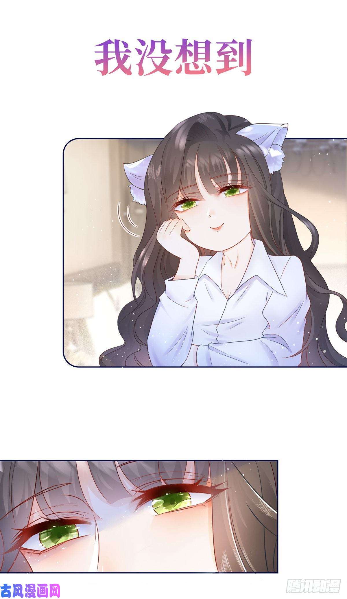杀手大佬在线养狐预告