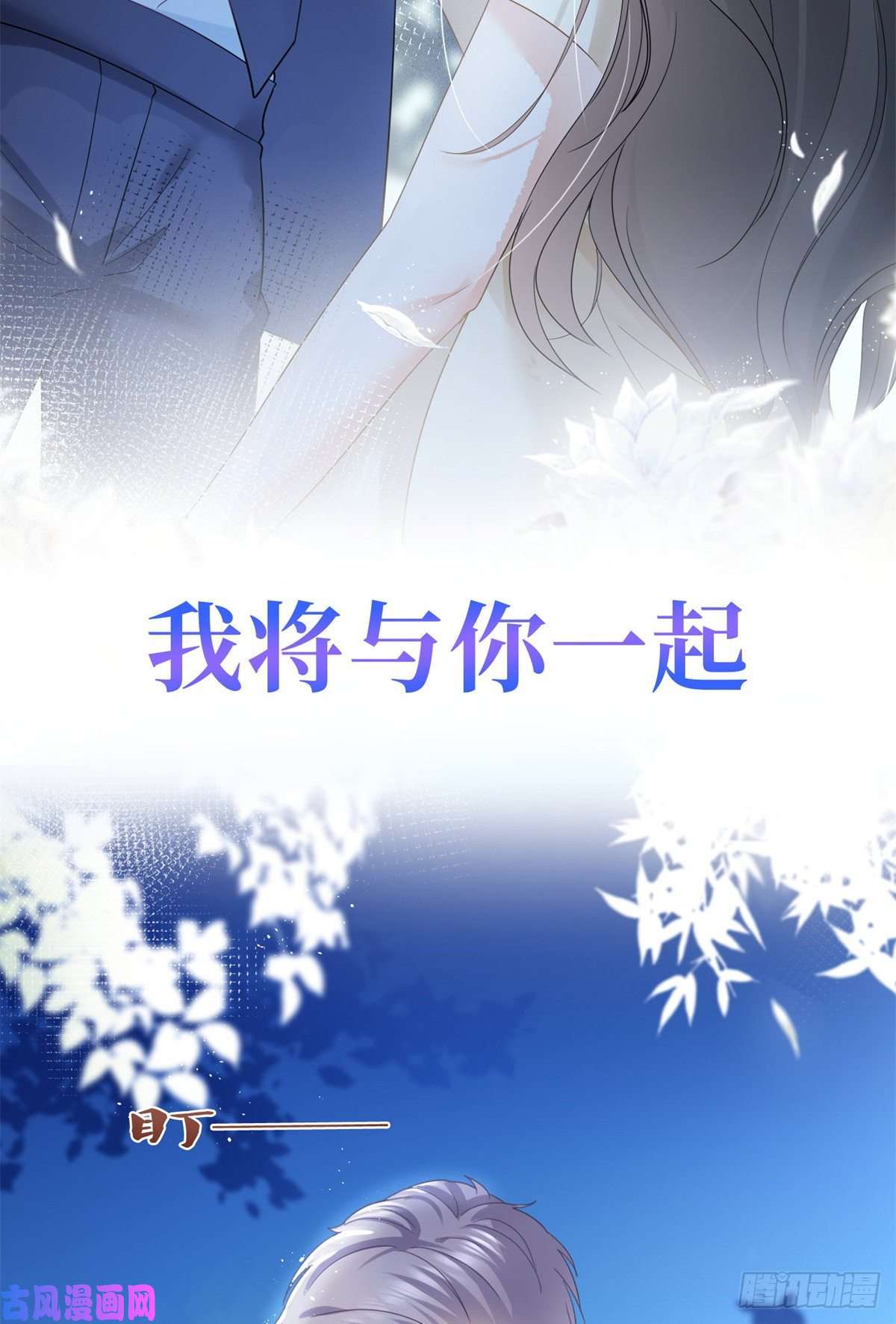 杀手大佬在线养狐预告