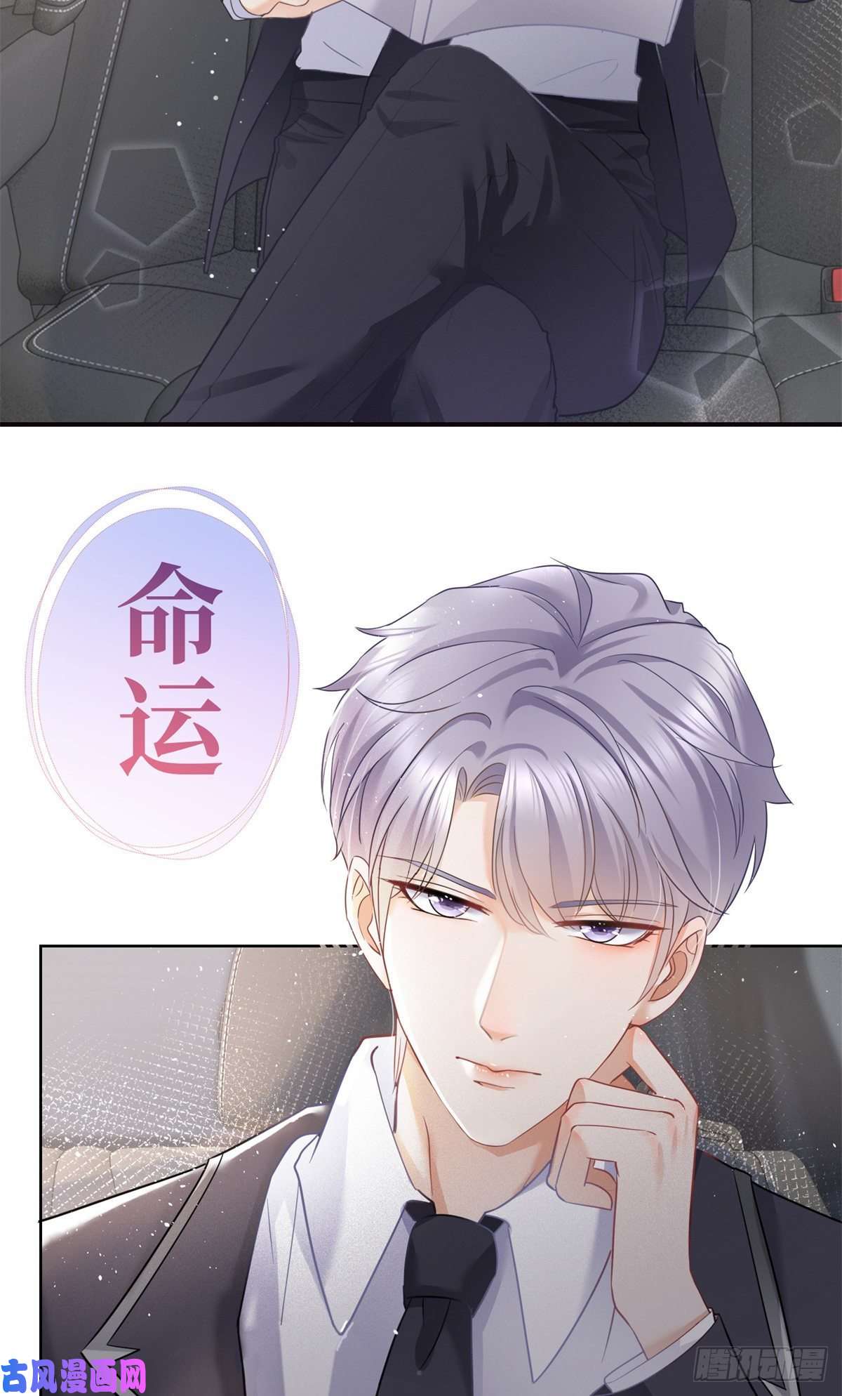 杀手大佬在线养狐预告