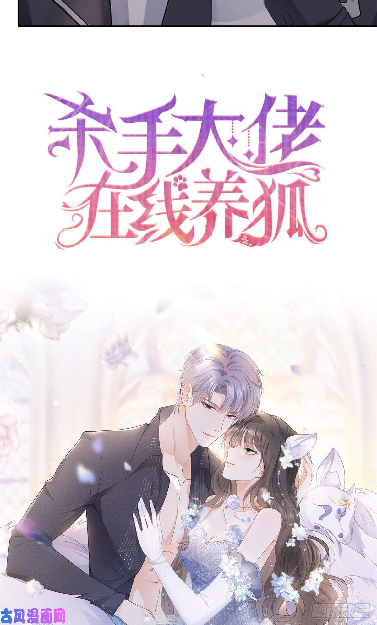 杀手大佬在线养狐预告