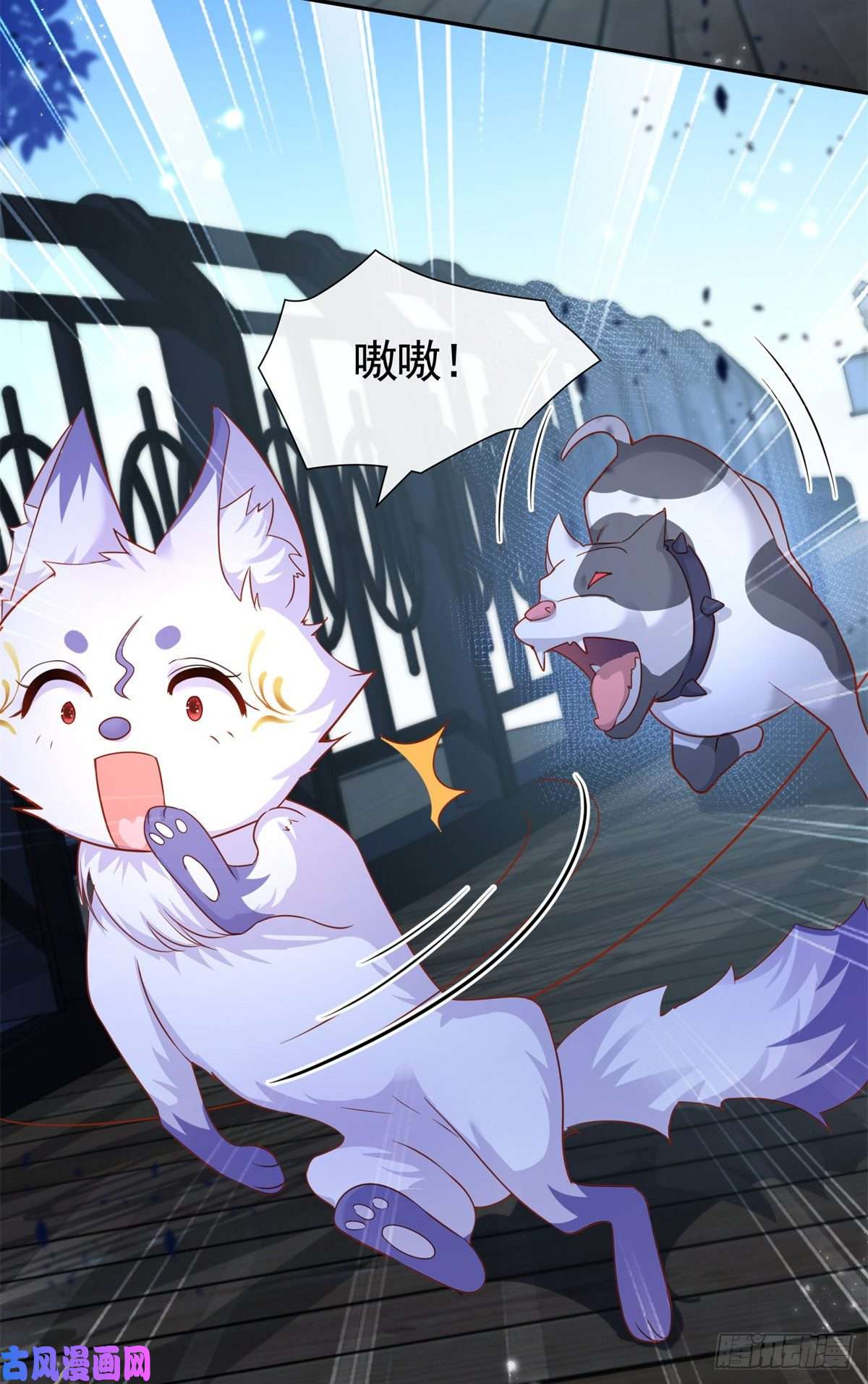 杀手大佬在线养狐预告