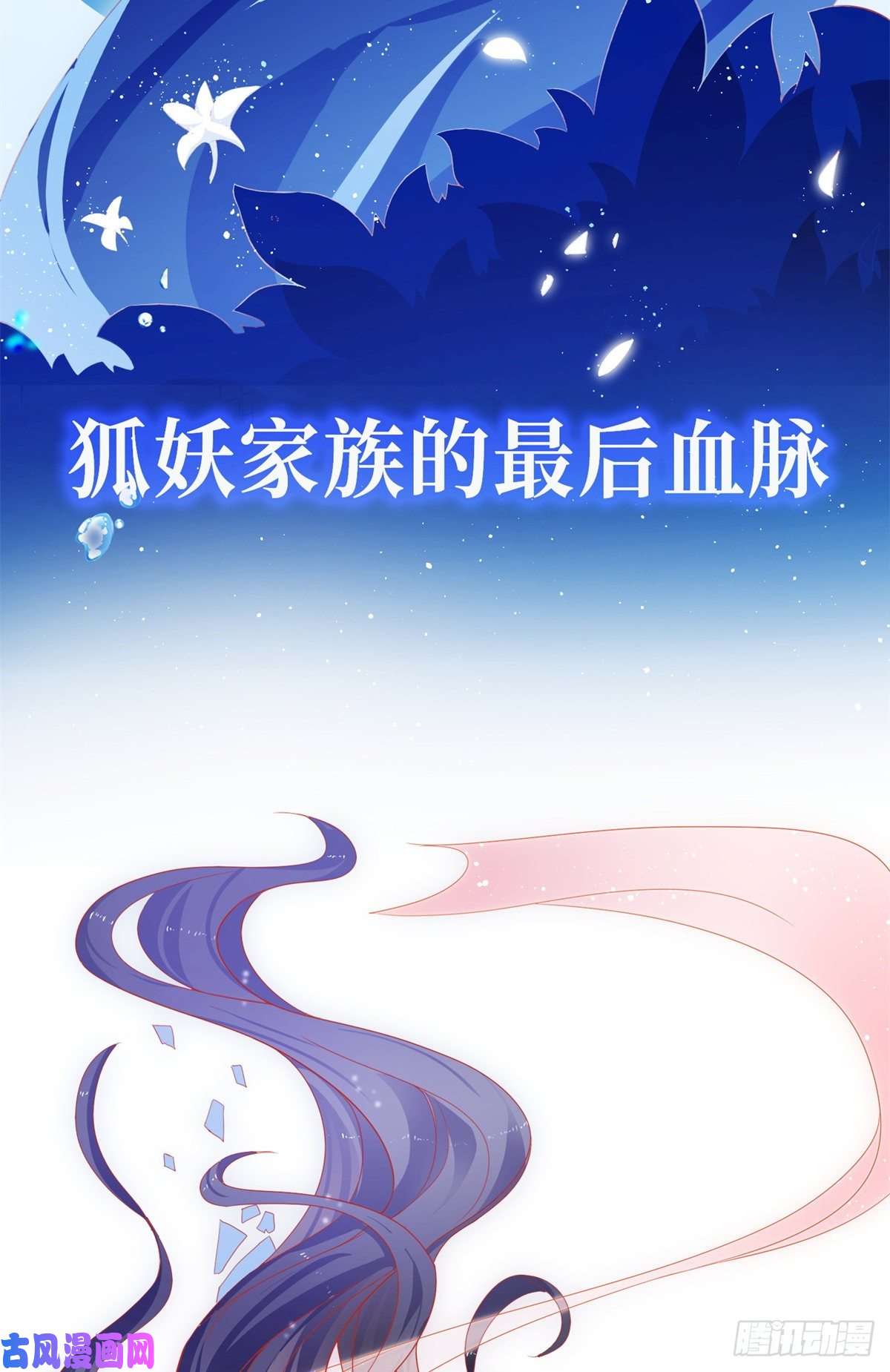 杀手大佬在线养狐预告