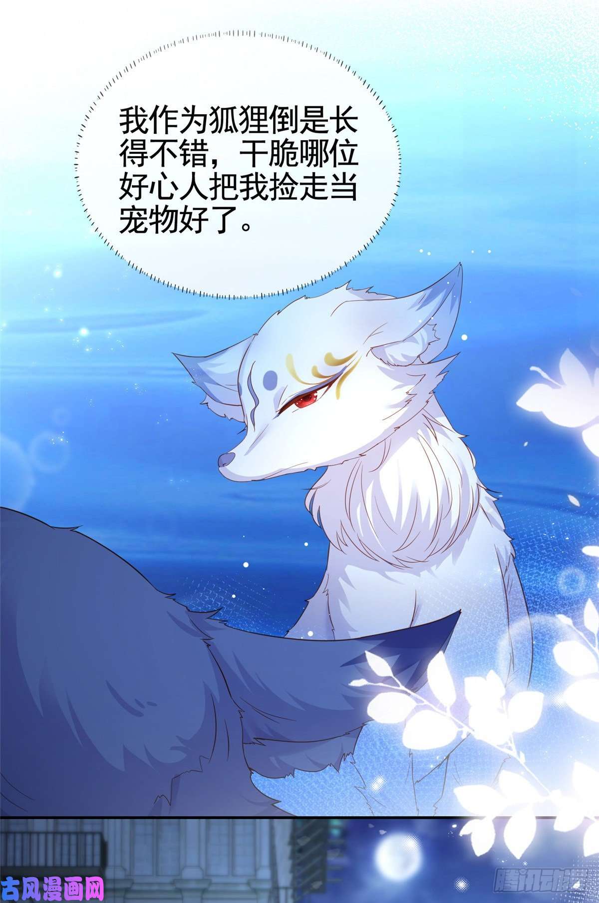 杀手大佬在线养狐001 被小三打败的狐狸精