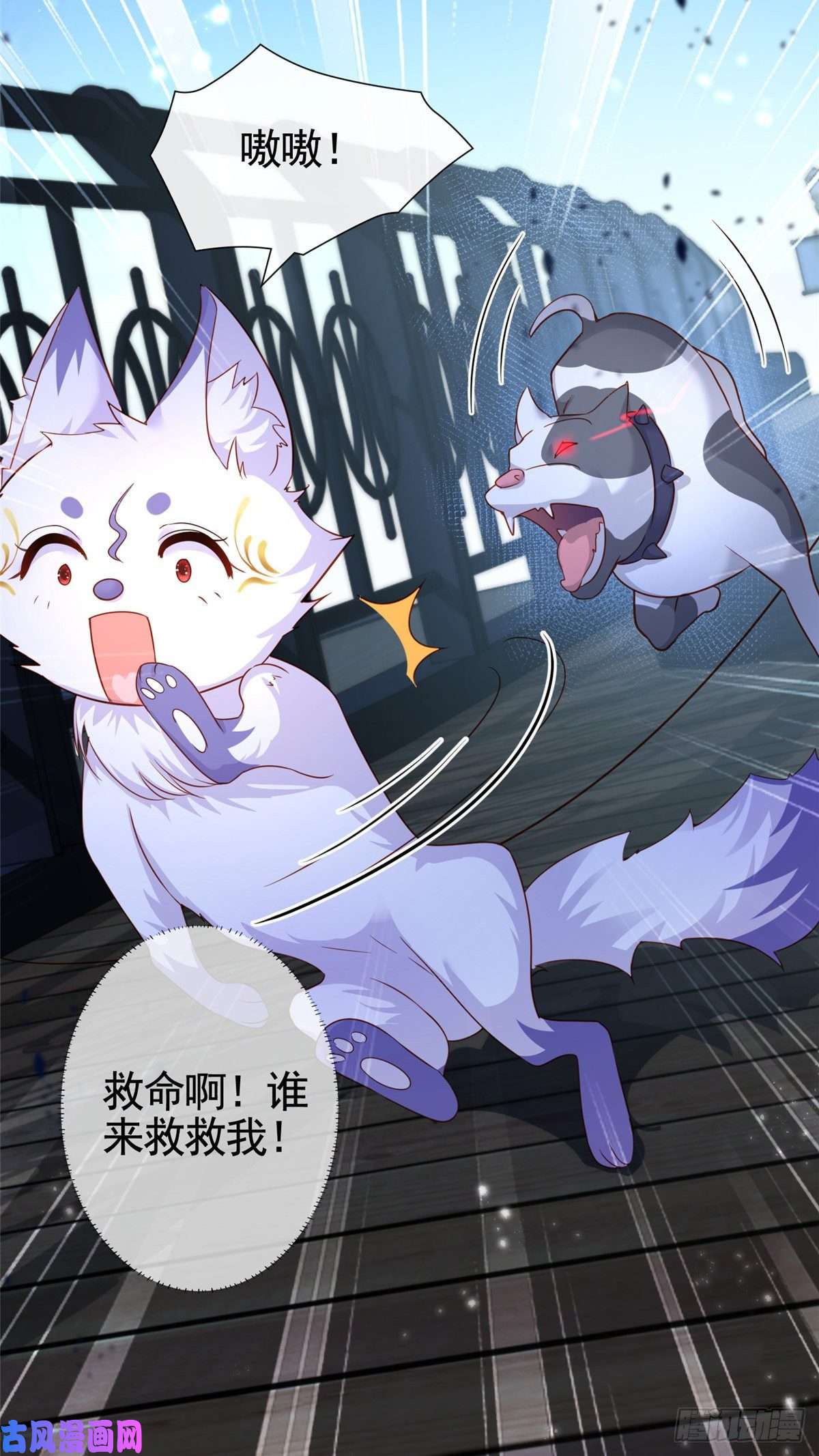 杀手大佬在线养狐001 被小三打败的狐狸精