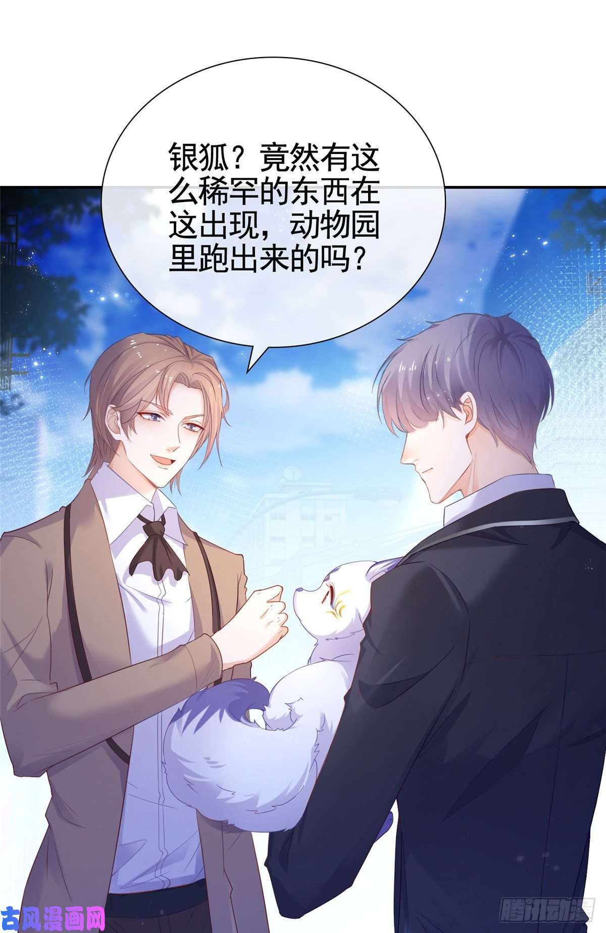 杀手大佬在线养狐001 被小三打败的狐狸精