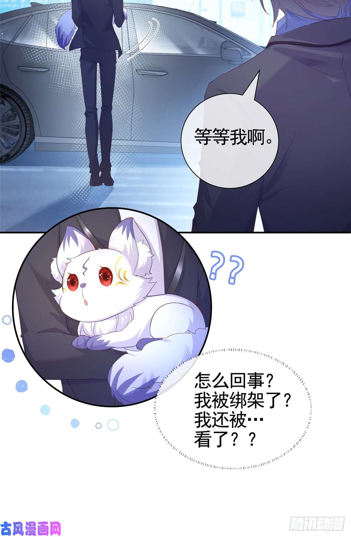 杀手大佬在线养狐001 被小三打败的狐狸精