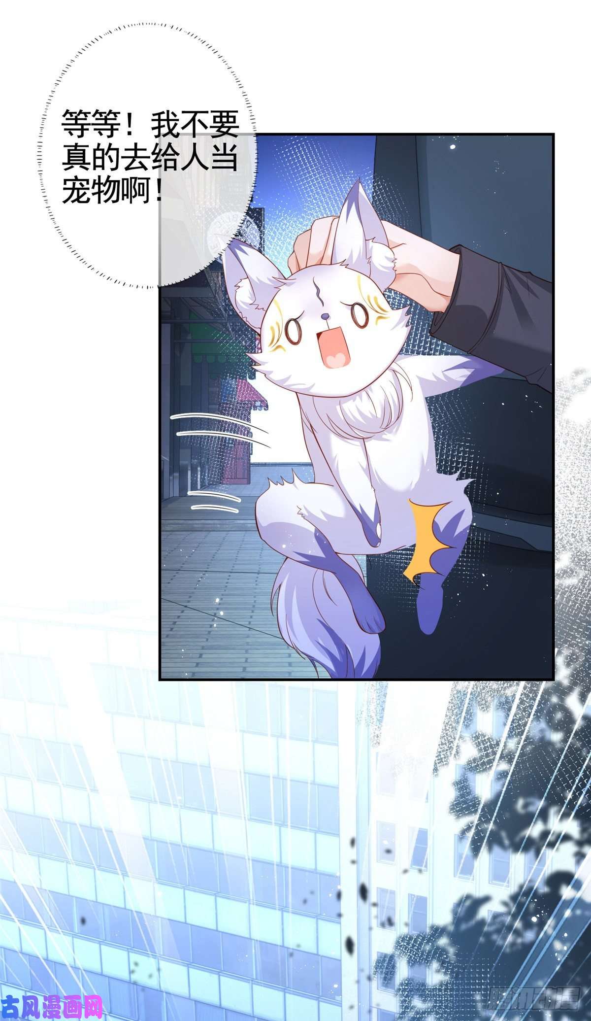杀手大佬在线养狐001 被小三打败的狐狸精