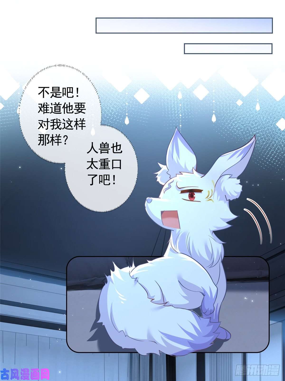 杀手大佬在线养狐002 吃掉宝石