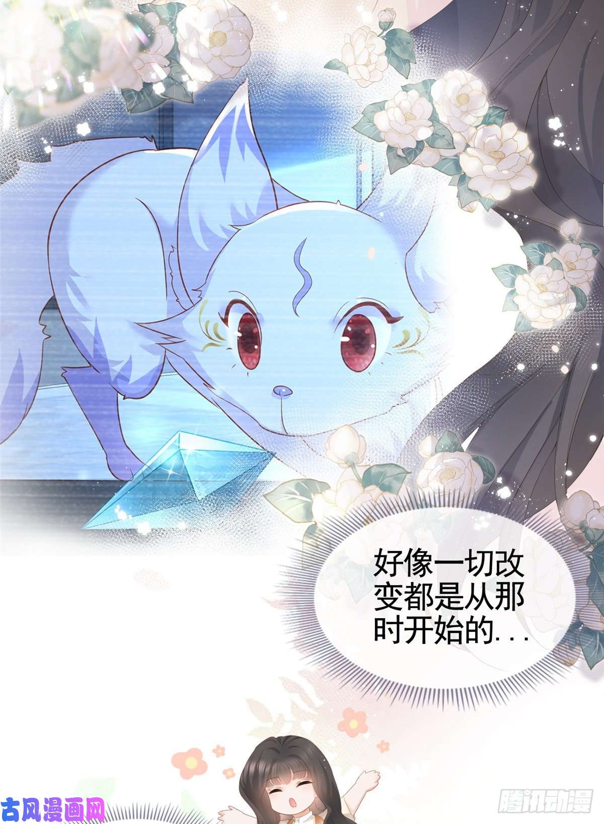 杀手大佬在线养狐006 特别的女人