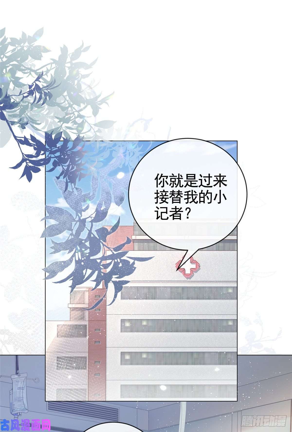 杀手大佬在线养狐007 淑女报仇十年不晚