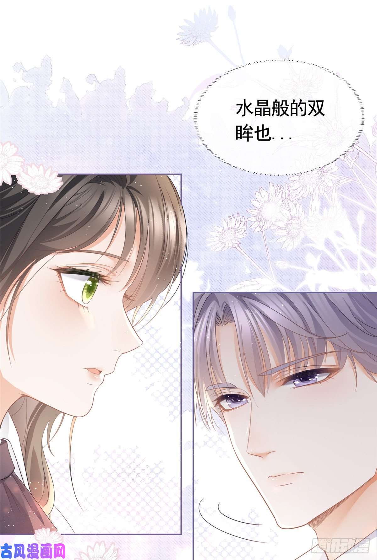 杀手大佬在线养狐011 天师与狐狸精