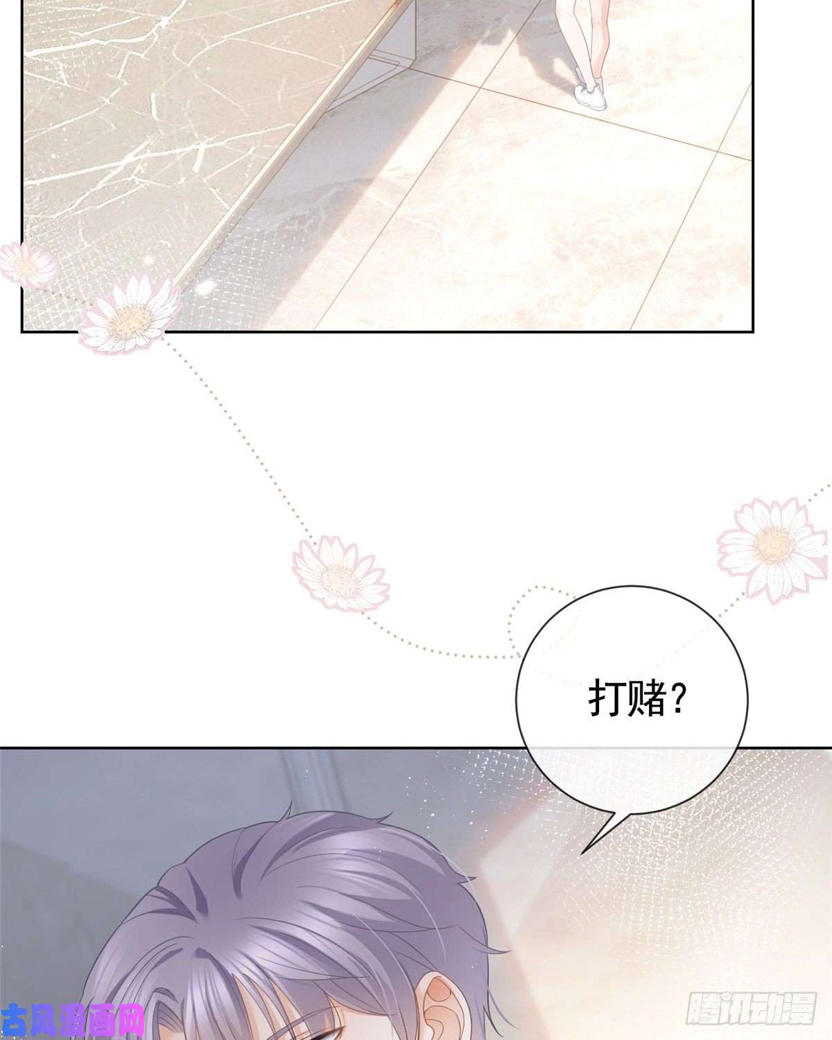 杀手大佬在线养狐012 一个赌注