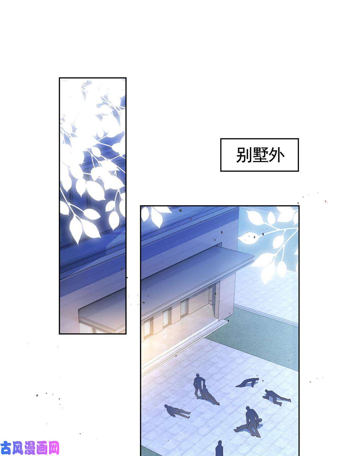 杀手大佬在线养狐030再见了，墨笙