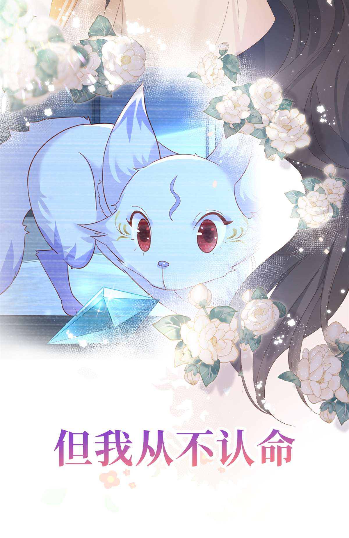 杀手大佬在线养狐预告 预告