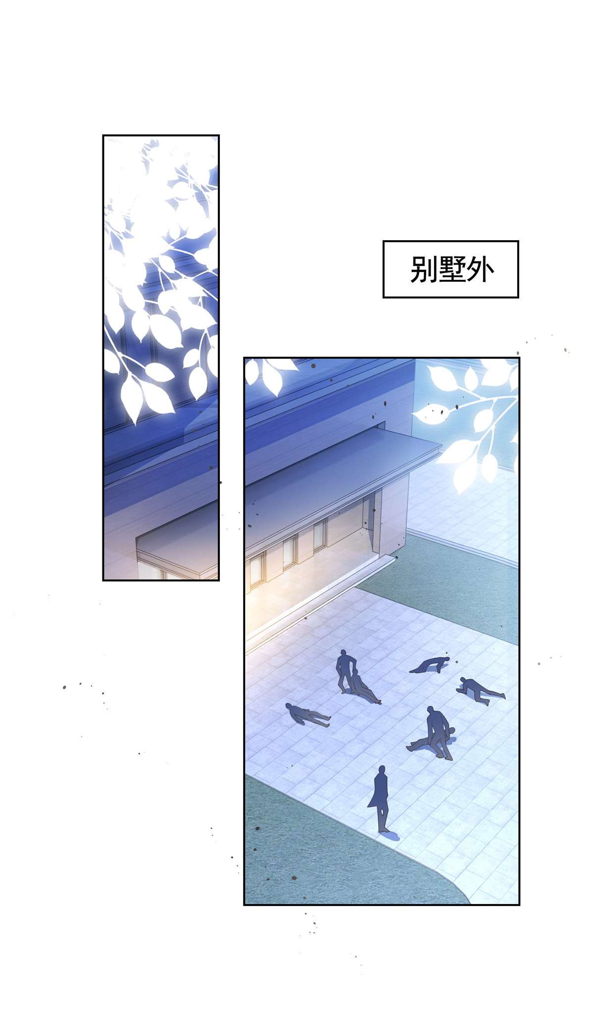 杀手大佬在线养狐030 再见了，墨笙