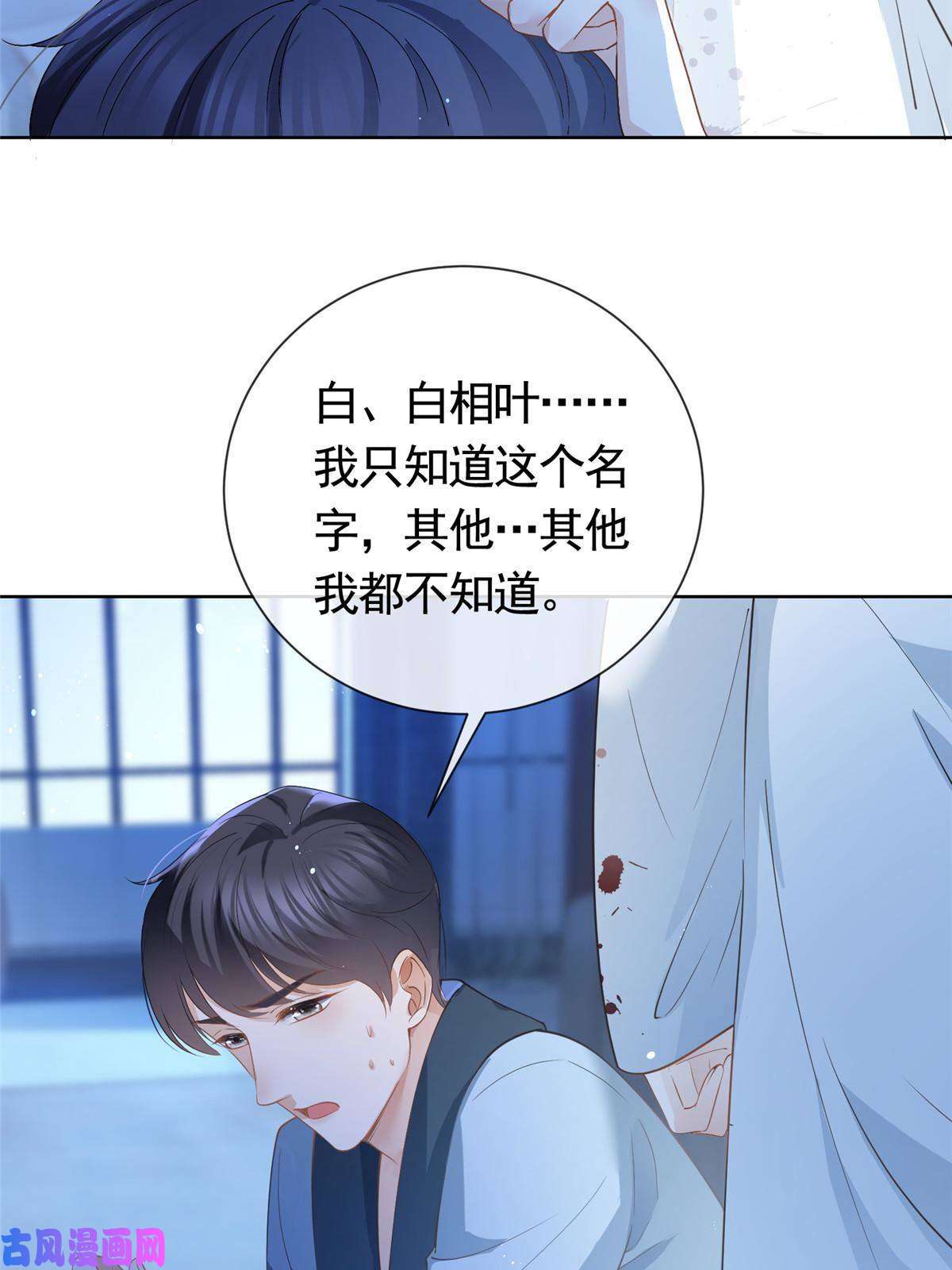 杀手大佬在线养狐045白相叶
